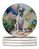 White Boxer Spring Path Large Sandstone Coasters Pack of 4 Absorbent Round Coasters Decor Gifts for Men or Women, 4 in, Multicolor